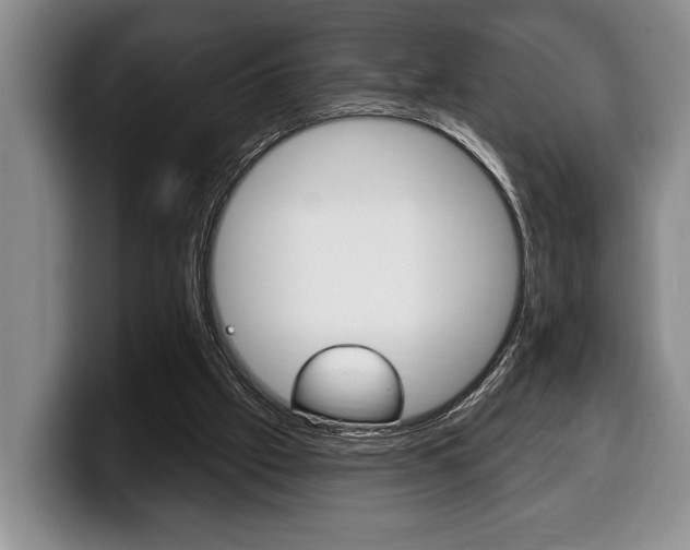 X0000100330057200806051212