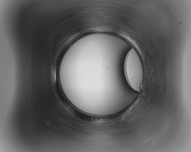 X0000100330062200806051212