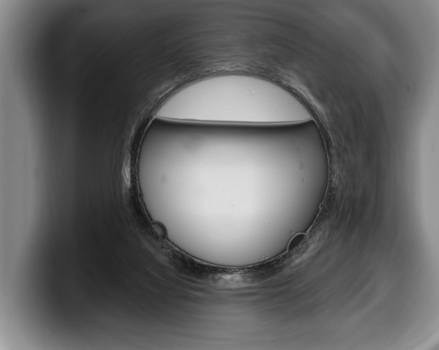 X0000100330068200806051212