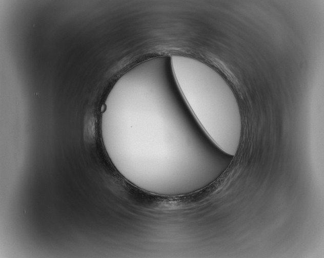 X0000100330071200806051212