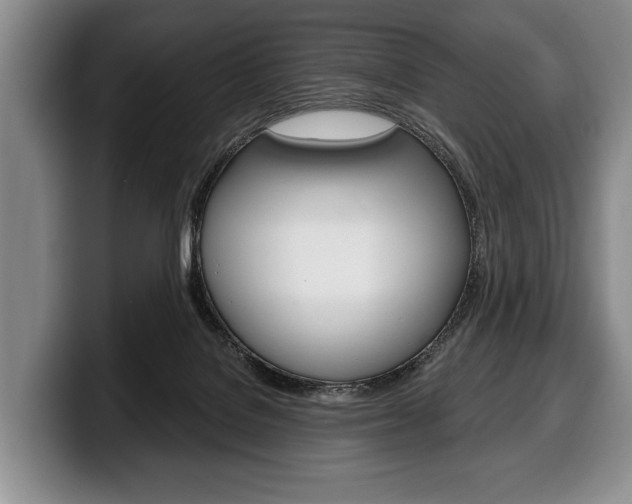X0000100330076200806051212