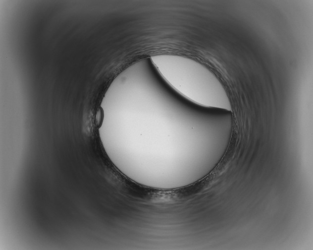 X0000100330077200806051212