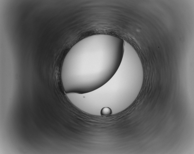 X0000100330083200806051212