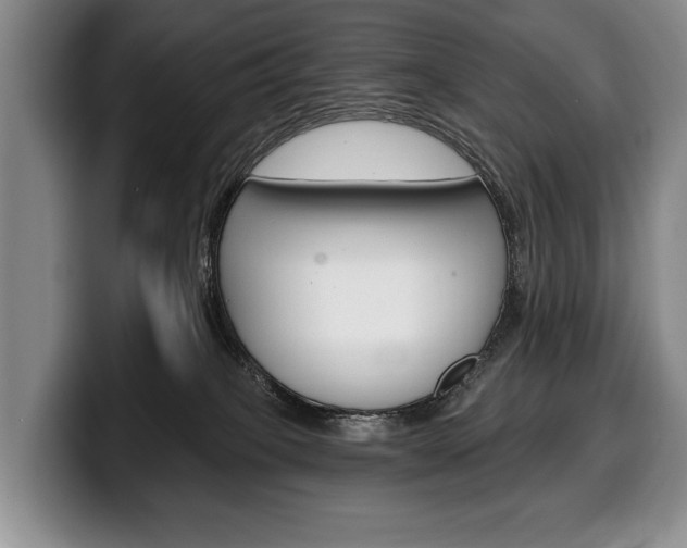 X0000100330085200806051212