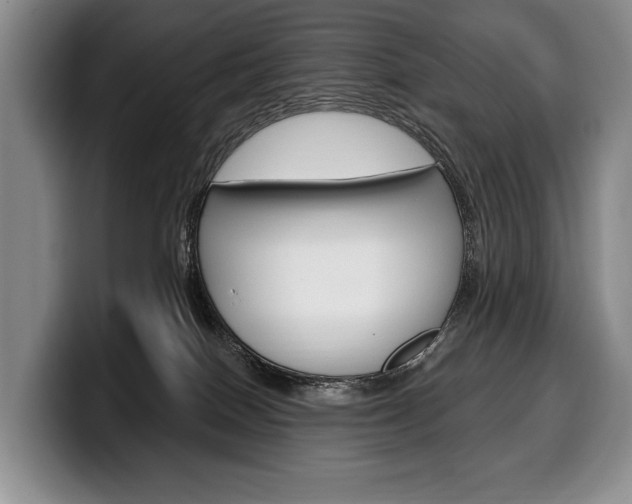 X0000100330086200806051212