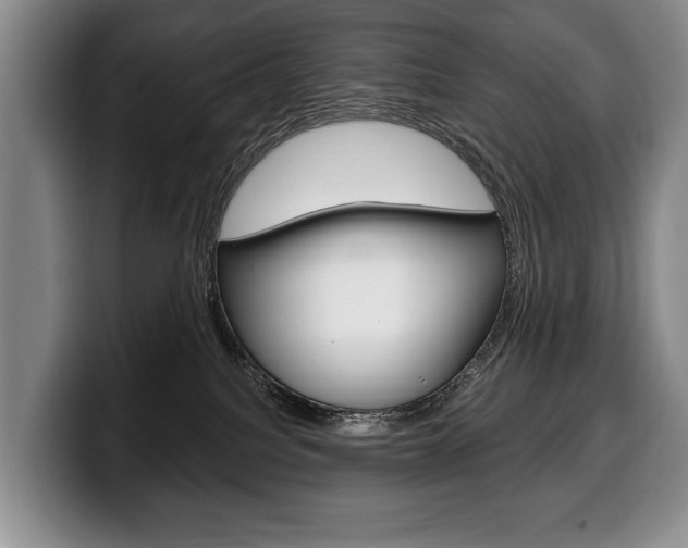 X0000100330088200806051212