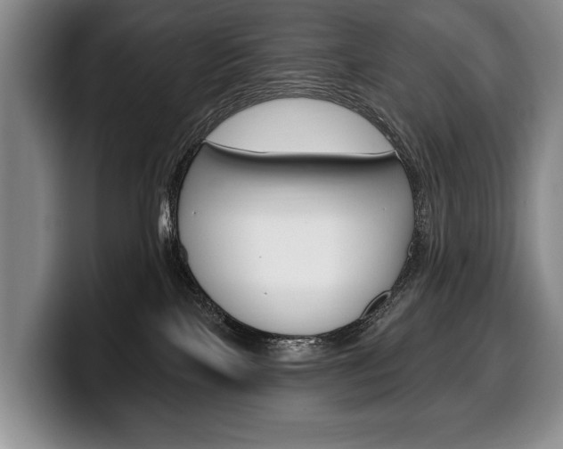 X0000100330089200806051213