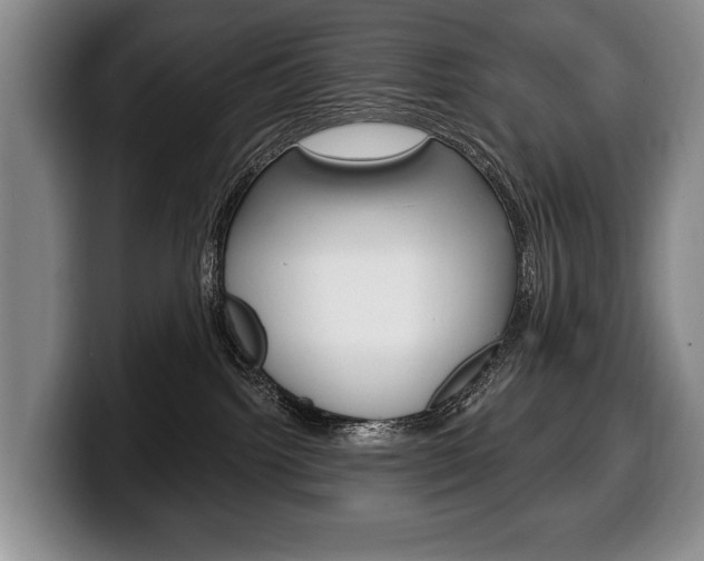 X0000100330092200806051213