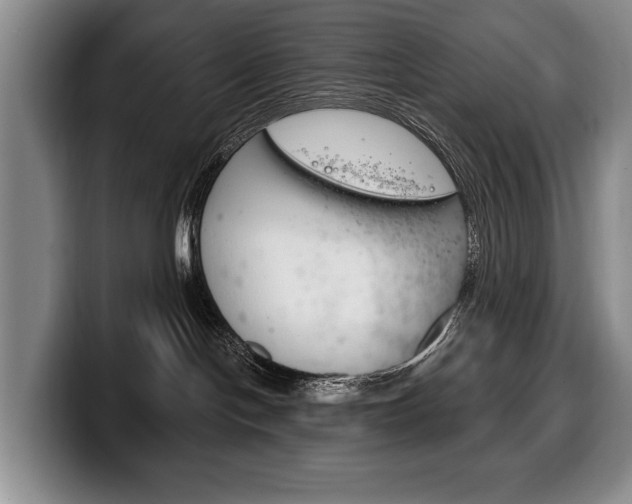 X0000100330094200806051213
