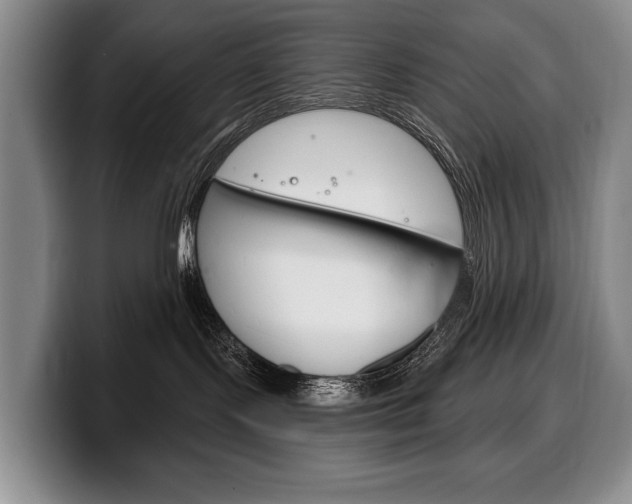 X0000100330095200806051213