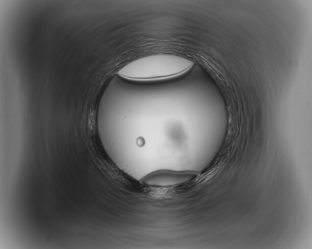 X0000100330096200806051213