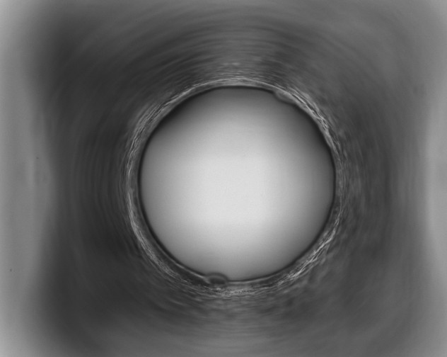 X0000100330097200806051212