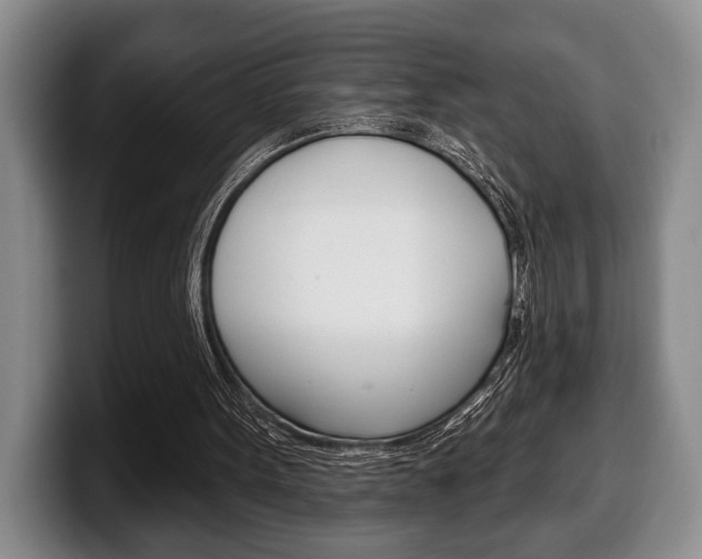 X0000100330099200806051212