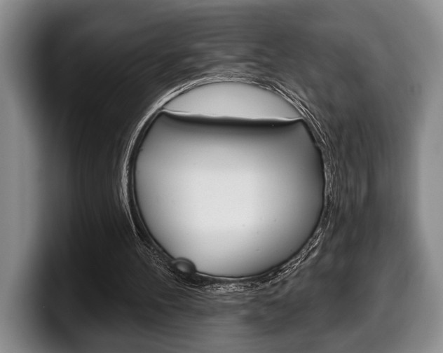 X0000100330100200806051212