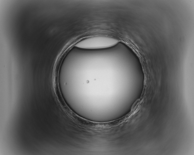 X0000100330101200806051212
