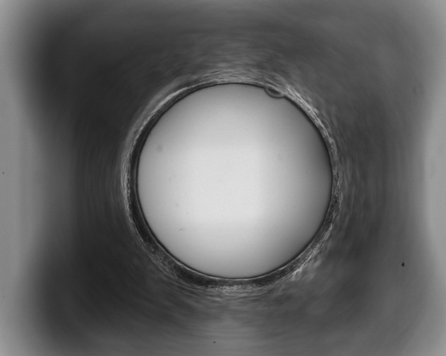 X0000100330103200806051212