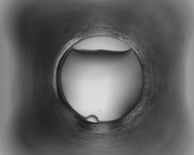 X0000100330104200806051212