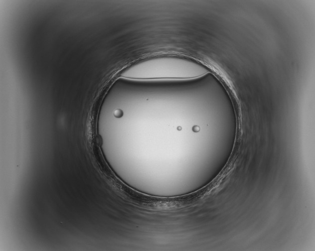 X0000100330105200806051212
