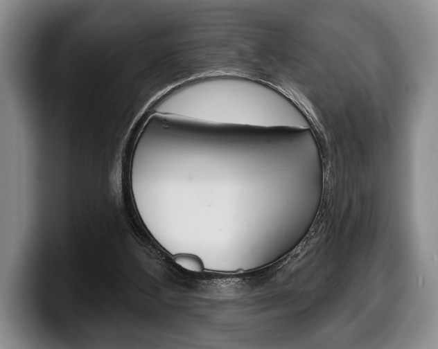 X0000100330108200806051212