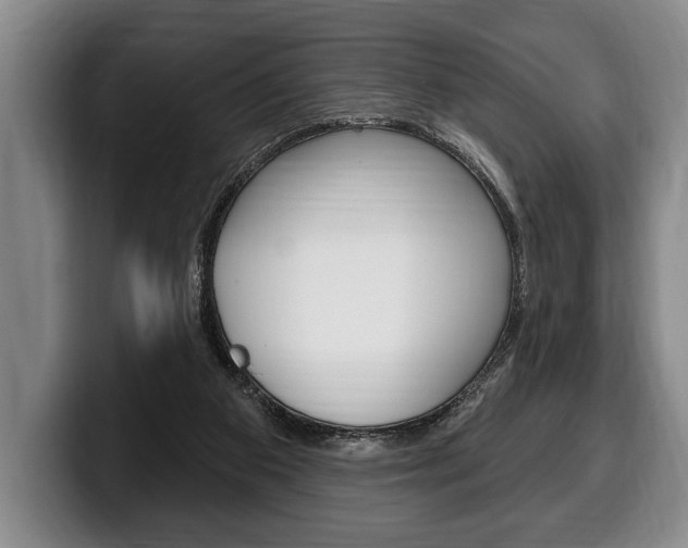 X0000100330113200806051212