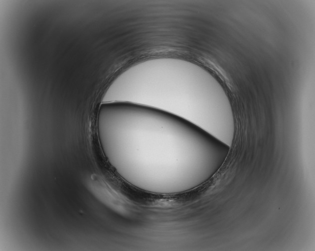 X0000100330119200806051212
