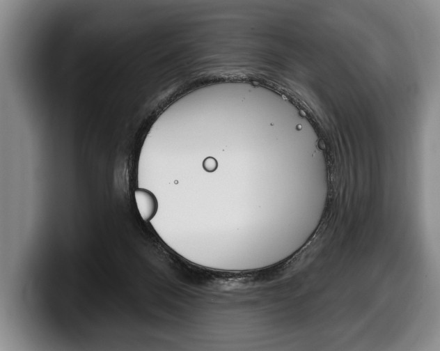 X0000100330120200806051212