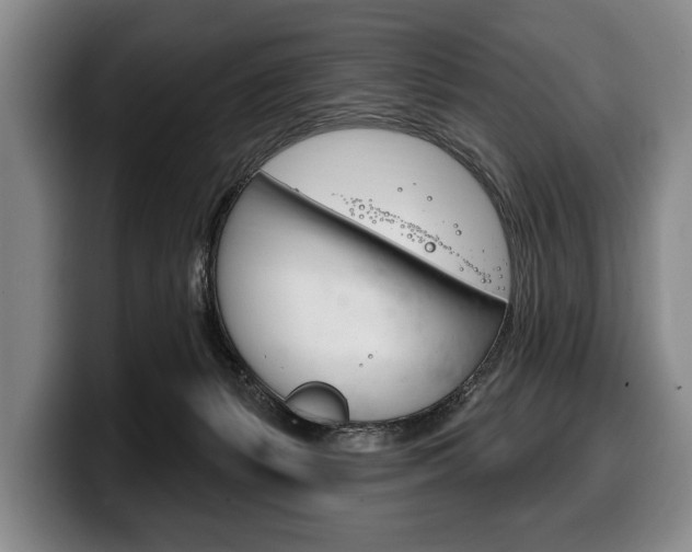 X0000100330127200806051211