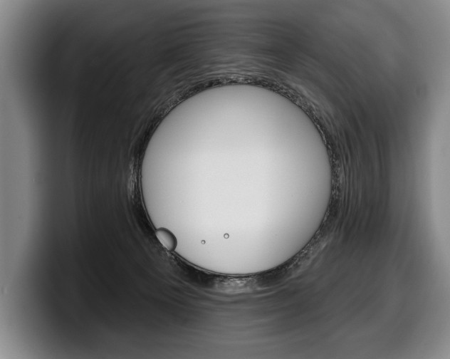 X0000100330129200806051211