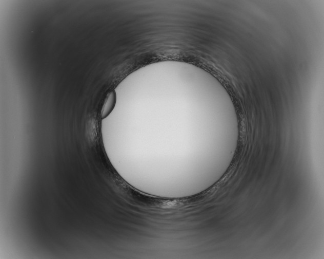X0000100330130200806051211