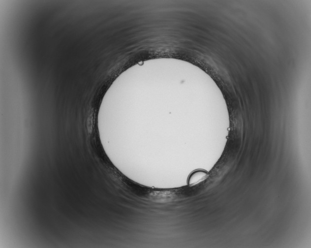 X0000100330133200806051211