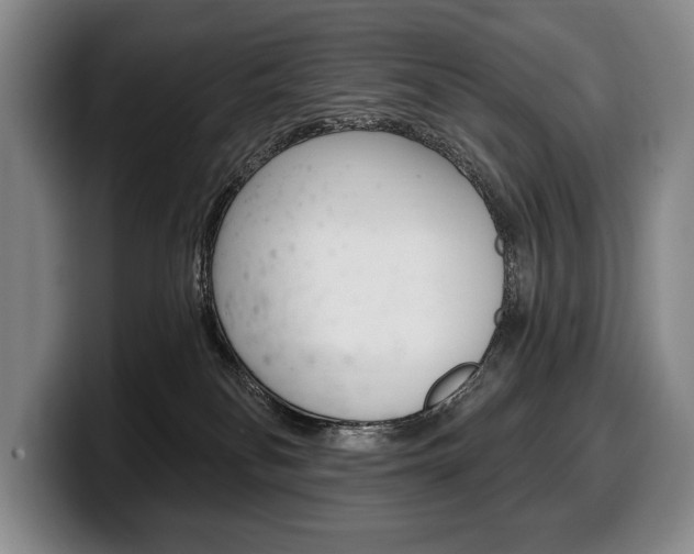 X0000100330134200806051211