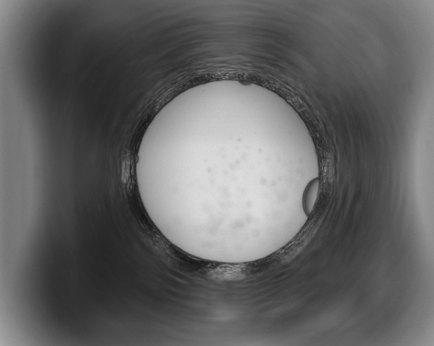 X0000100330138200806051211