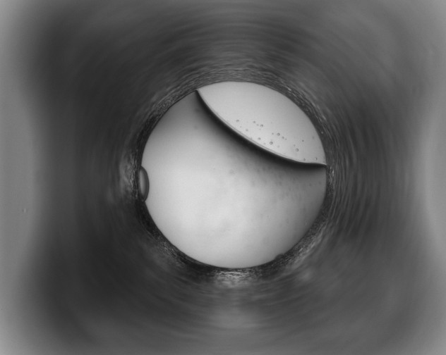X0000100330139200806051211