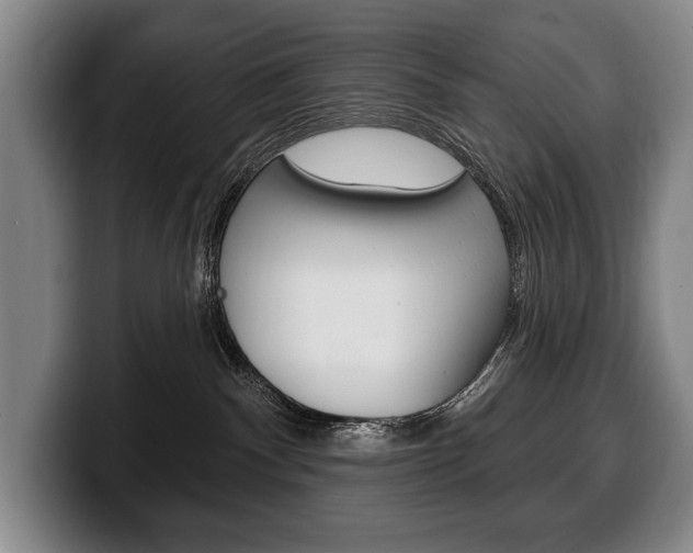 X0000100330140200806051211