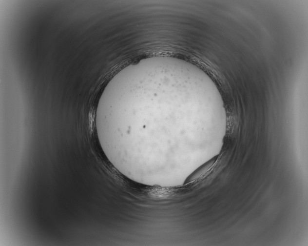 X0000100330142200806051211