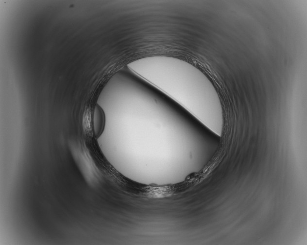 X0000100330143200806051211