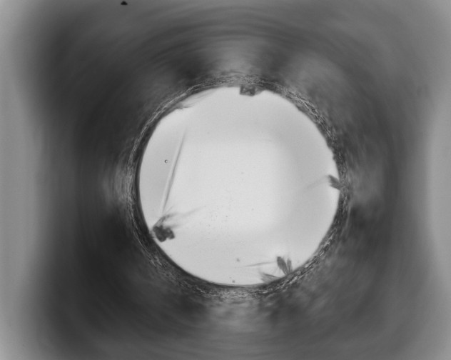 X0000100330146200806051211
