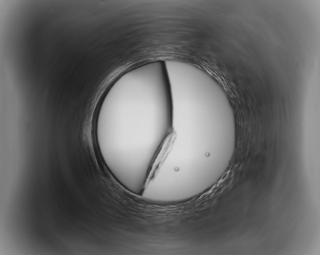 X0000100330147200806051211