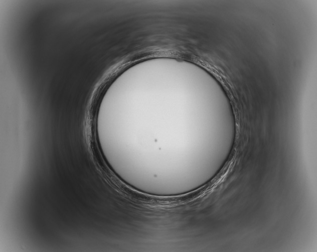 X0000100330149200806051211