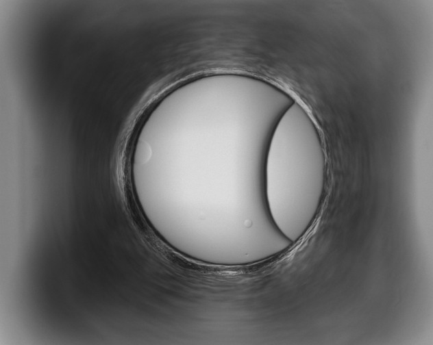 X0000100330151200806051211