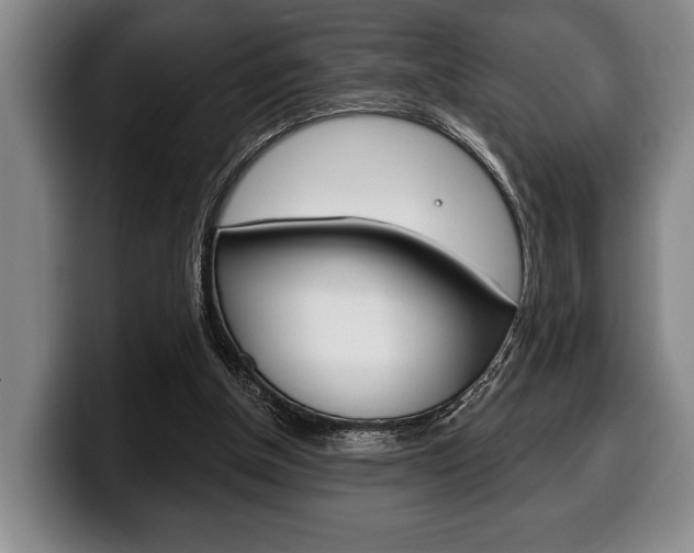 X0000100330154200806051211