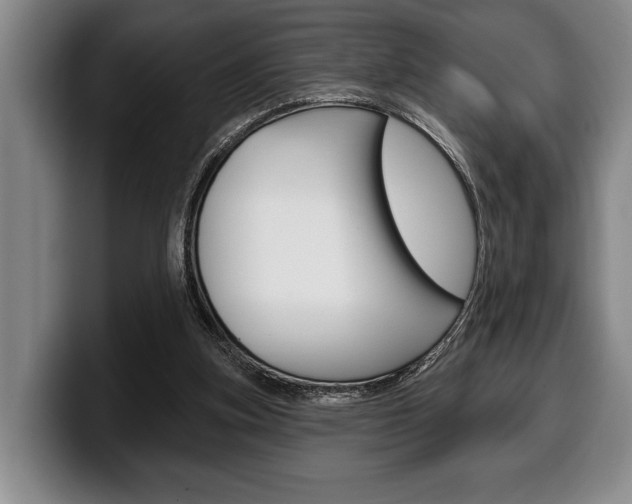 X0000100330155200806051211