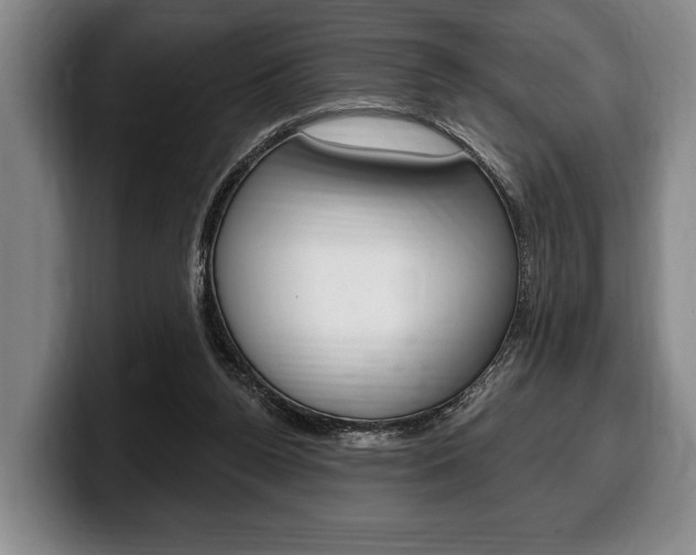X0000100330160200806051211
