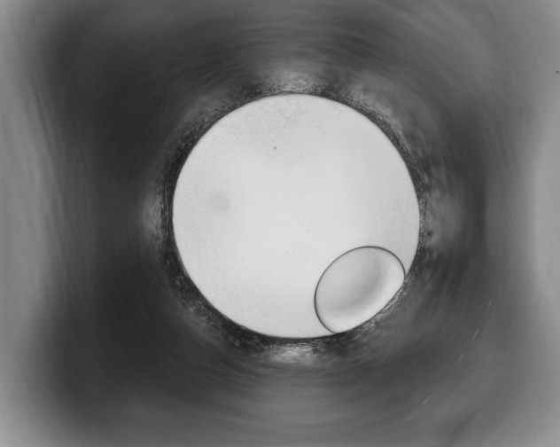 X0000100330162200806051211