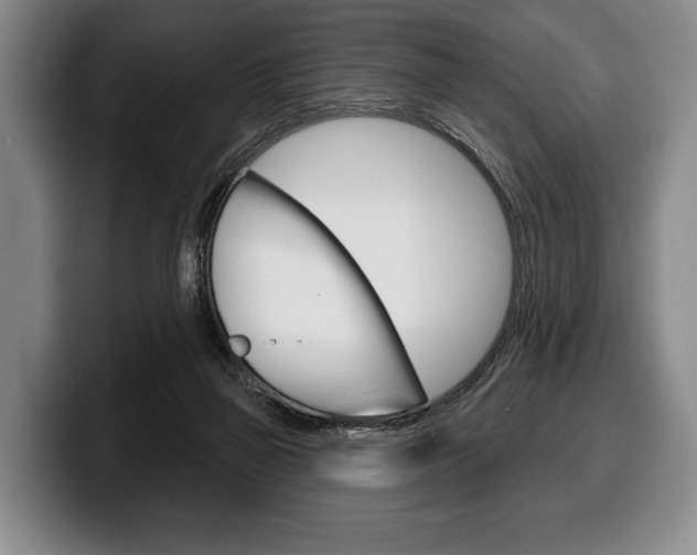 X0000100330165200806051211