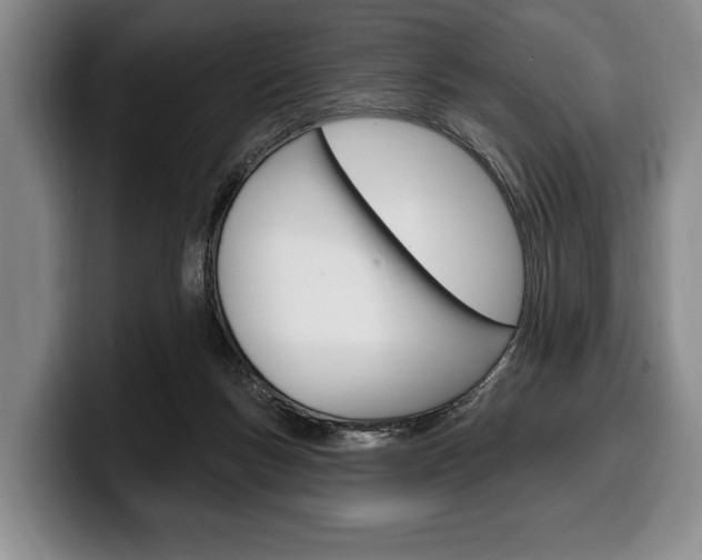 X0000100330167200806051211