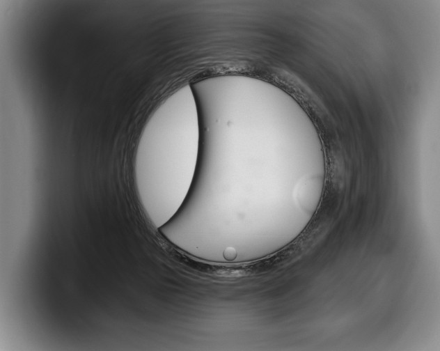 X0000100330169200806051211