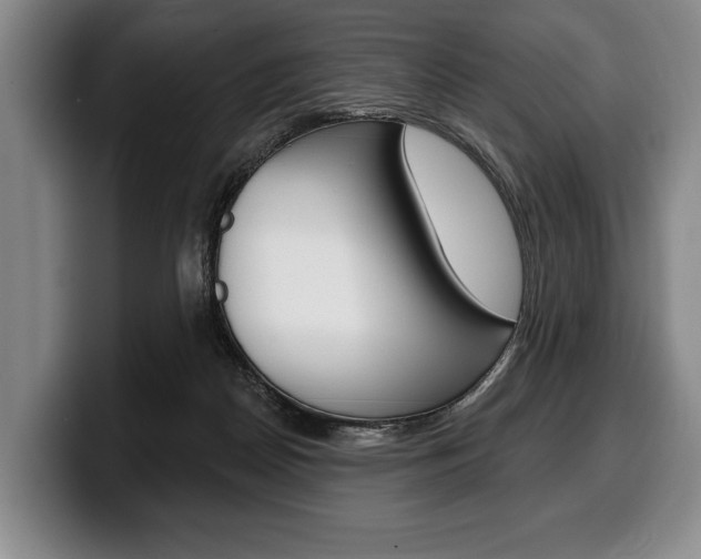 X0000100330170200806051211