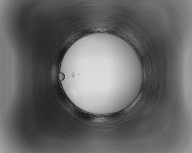 X0000100330171200806051211