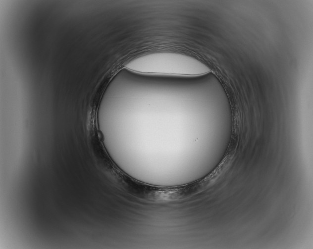 X0000100330172200806051211